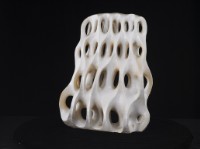 藏品(另一種植物(3))的圖片