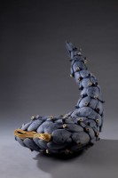 藏品(渦管)的圖片