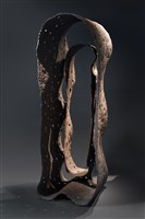 藏品(2007-9)的圖片