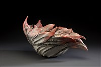 藏品(生物（核心）)的圖片