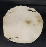 館藏編號:A-2025-02-001的藏品圖