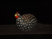 藏品(GALLINA)的圖片