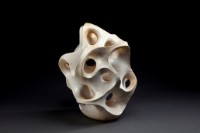 藏品(另一種植物(2))的圖片