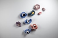 藏品(慾之夢)的圖片