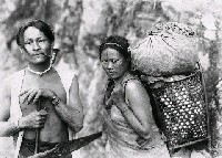 藏品(泰雅族人的小米收成)的圖片