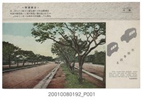 藏品(大正天鴿牌臺北三線道路)的圖片