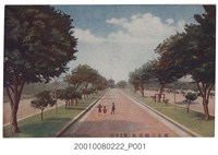 藏品(臺北新高堂發行臺北三線道路)的圖片