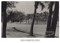 藏品(大正製造新公園風光)的圖片
