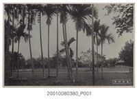 藏品(日本和歌山縣製宜蘭公園)的圖片