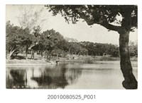 藏品(臺南名所臺南公園)的圖片