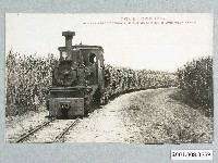 藏品(高雄甘蔗田與搬運列車)的圖片