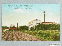 藏品(生蕃屋本店印行臺灣高雄製糖工場)的圖片