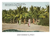 藏品(臺北生蕃屋本店發行臺灣高雄旗後椰子林)的圖片