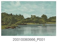 藏品(臺南市役所發行臺南公園)的圖片