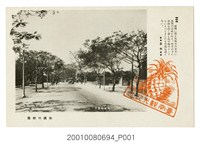 藏品(臺南大正町)的圖片