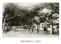 藏品(臺南市街)的圖片