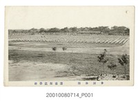 藏品(臺南師範學校團體體操)的圖片