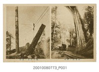 藏品(阿里山神木阿里山檜木運材)的圖片