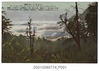 藏品(臺北生蕃屋本店發行臺灣八景之一阿里山)的圖片