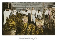 藏品(臺北生蕃屋本店印行臺中香蕉運輸)的圖片