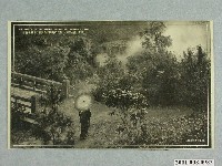 藏品(臺北新高堂發行北投溫泉)的圖片