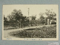 藏品(順天堂製臺灣阿緱廳農會附屬農場)的圖片