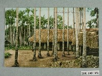 藏品(臺北新高堂發行花蓮蕃社的一景)的圖片