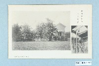 藏品(屏東御休所瑞祥之竹)的圖片