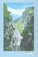 藏品(合流的大溪谷)的圖片