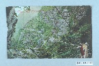 藏品(從山月橋往巴達岡望去)的圖片