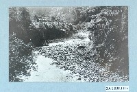 藏品(明治溫泉附近景觀)的圖片