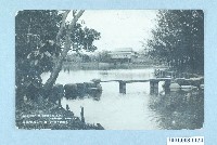 藏品(大正天鴿牌新竹公園的雅景)的圖片