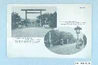 藏品(大正天鴿牌製造新竹神社)的圖片