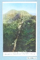 藏品(八仙山伏地索道運材)的圖片