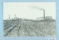 藏品(東京印刷株式會社發行大日本製糖株式會社臺灣工場全景)的圖片