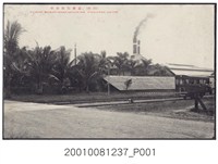 藏品(臺灣屏東製糖會社)的圖片