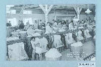 藏品(臺灣棉花株式會社繰棉工廠一部分)的圖片