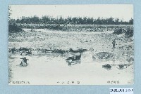 藏品(鳳山原寫真館製池中之水牛)的圖片