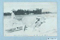 藏品(水牛耕作)的圖片