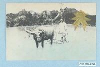 藏品(東京日本橋區數寄屋町ともゑ商會製小牛犛田)的圖片