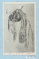 藏品(臺灣總蘭)的圖片