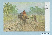 藏品(騎著水牛旅行的原住民)的圖片