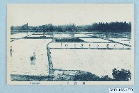 藏品(棚邊書店發行臺灣農夫)的圖片