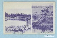 藏品(臺灣的水車與在地的養鴨人家)的圖片