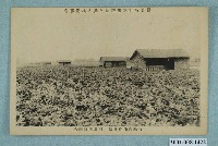 藏品(樹林信用利用購買組合耕地及堆肥豚舍)的圖片