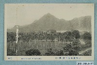 藏品(森谷商店發行臺灣蕃薯寮市街)的圖片