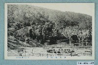 藏品(柴田寫真館發行水源地勝景)的圖片