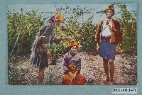 藏品(鄒族達邦社驅逐病魔的儀式 )的圖片