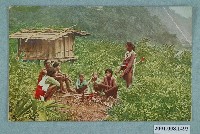 藏品(角板山哈盆社泰雅族人)的圖片