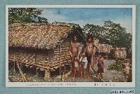 藏品(臺北新高堂發行臺灣木瓜番與住屋)的圖片